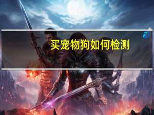 买宠物狗如何检测