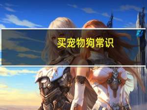 买宠物狗常识