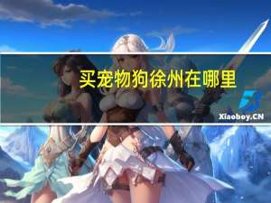 买宠物狗徐州在哪里
