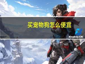 买宠物狗怎么便宜