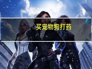买宠物狗打药