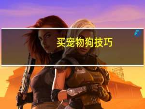 买宠物狗技巧