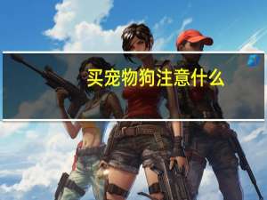 买宠物狗注意什么