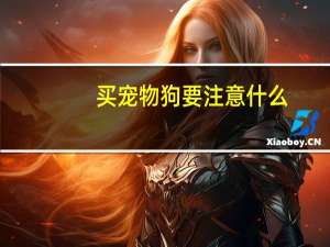 买宠物狗要注意什么