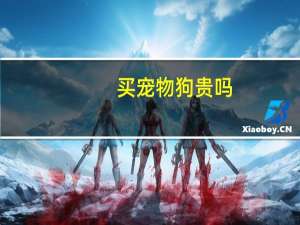 买宠物狗贵吗