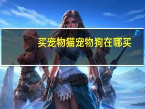买宠物猫宠物狗在哪买