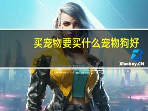 买宠物要买什么宠物狗好