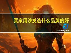 买家用沙发选什么品牌的好