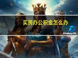 买房办公积金怎么办