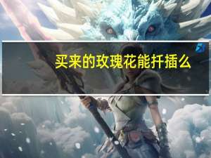 买来的玫瑰花能扦插么