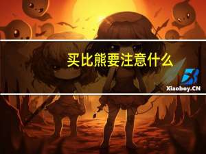 买比熊要注意什么