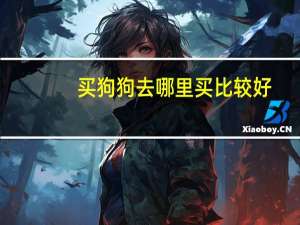 买狗狗去哪里买比较好