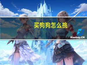 买狗狗怎么挑