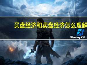 买盘经济和卖盘经济怎么理解
