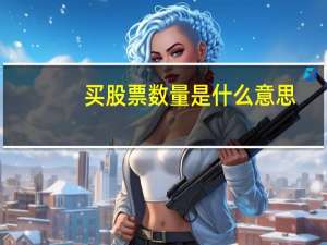 买股票数量是什么意思
