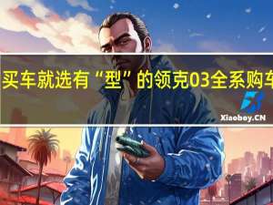 买车就选有“型”的 领克03全系购车手册