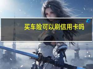 买车险可以刷信用卡吗