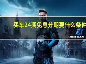 买车24期免息分期要什么条件