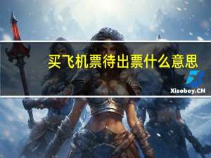 买飞机票待出票什么意思