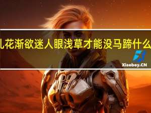 乱花渐欲迷人眼浅草才能没马蹄什么意思啊