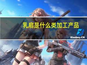 乳扇是什么类加工产品（乳扇是什么）