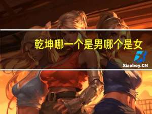 乾坤哪一个是男哪个是女（乾坤哪个是男哪个是女）