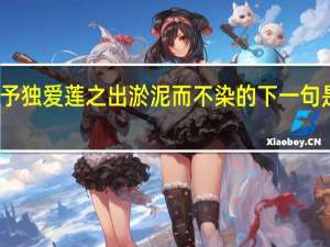 予独爱莲之出淤泥而不染的下一句是什么