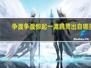 争渡争渡惊起一滩鸥鹭出自哪里（争渡争渡惊起一滩鸥鹭）