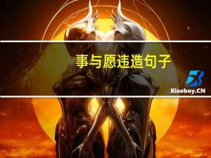 事与愿违造句子（事与愿违造句）