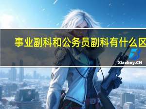 事业副科和公务员副科有什么区别