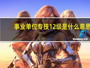 事业单位专技12级是什么意思