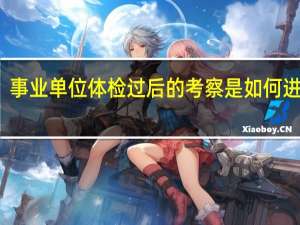 事业单位体检过后的考察是如何进行的