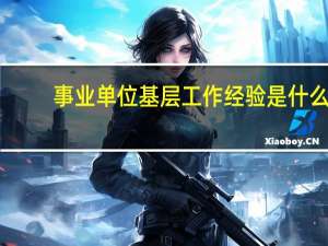 事业单位基层工作经验是什么