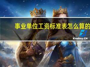 事业单位工资标准表怎么算的