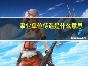 事业单位待遇是什么意思
