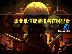 事业单位成绩排名在哪里看