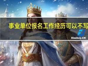 事业单位报名工作经历可以不写吗