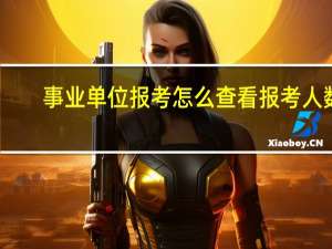 事业单位报考怎么查看报考人数