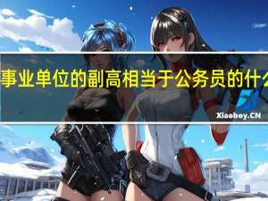 事业单位的副高相当于公务员的什么级别