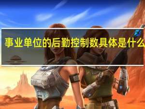 事业单位的后勤控制数具体是什么意思