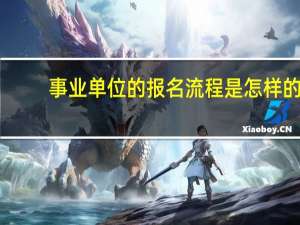 事业单位的报名流程是怎样的