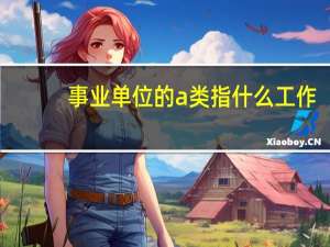 事业单位的a类指什么工作