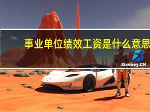 事业单位绩效工资是什么意思