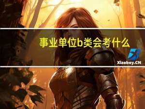 事业单位b类会考什么