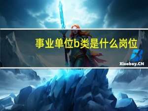事业单位b类是什么岗位