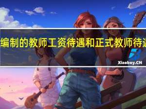 事业编制的教师工资待遇和正式教师待遇有何差别？