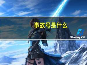 事故号是什么