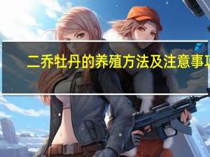 二乔牡丹的养殖方法及注意事项
