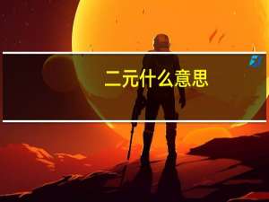 二元什么意思