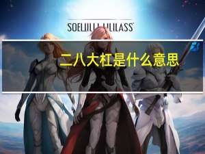 二八大杠是什么意思